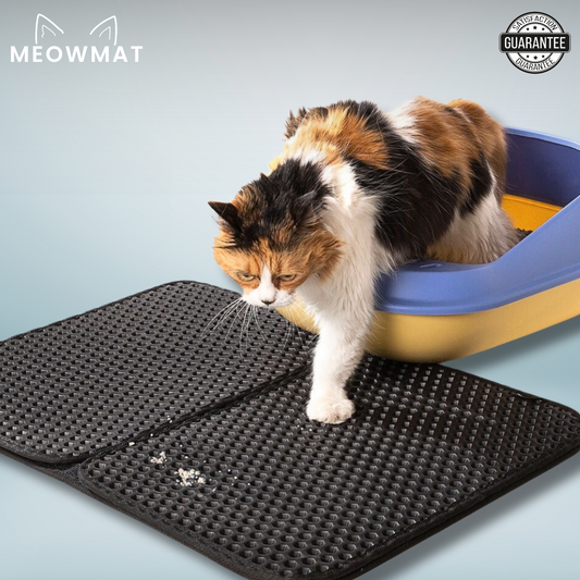 MeowMat™: The Litter Solution